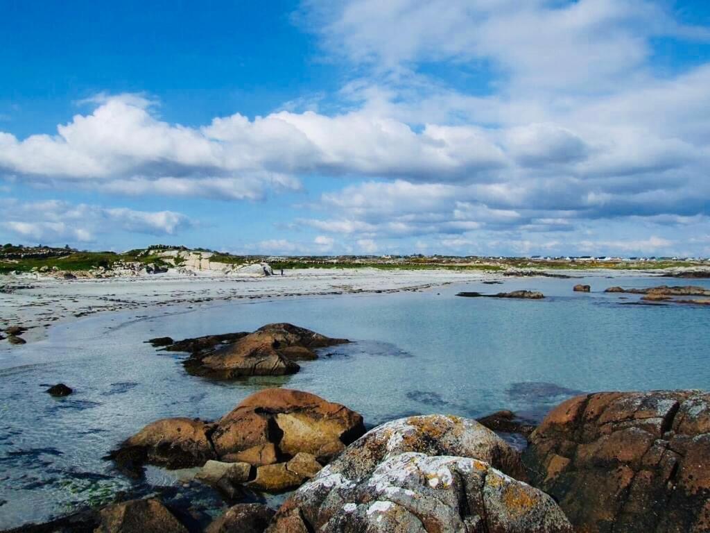 Wild Atlantic Stay Cottage 골웨이 외부 사진